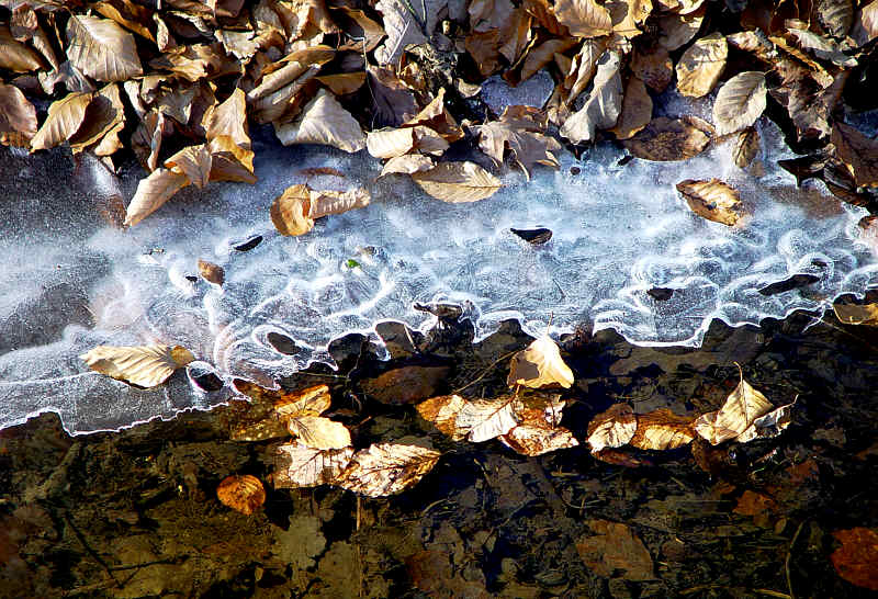 Wasser und Eis - Bild 9